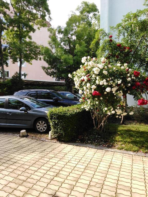 Guest Apartment Dental Space Sluneční pobřeží Exteriér fotografie